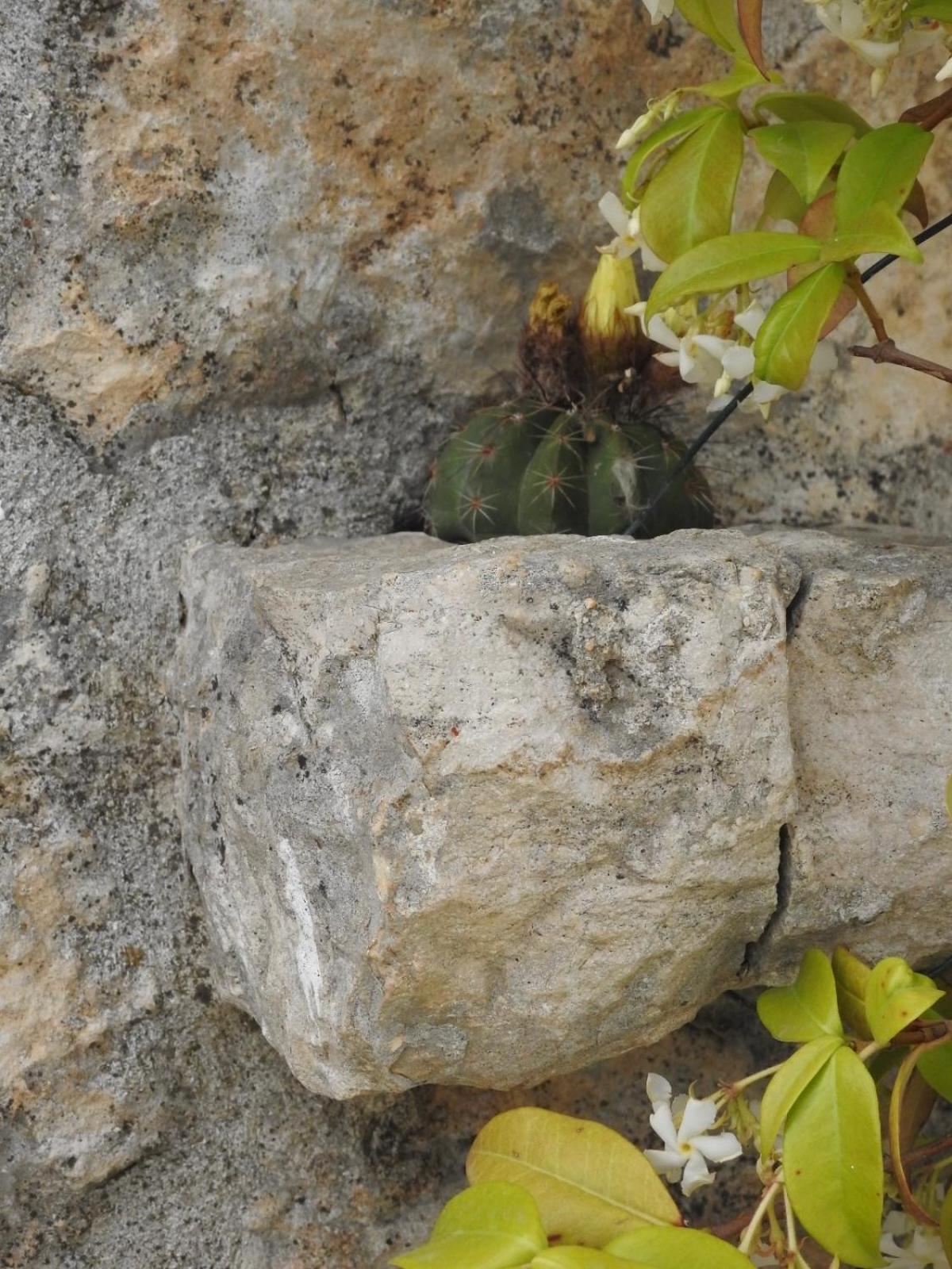 马丁纳弗兰卡Trulli Del Sole别墅 外观 照片